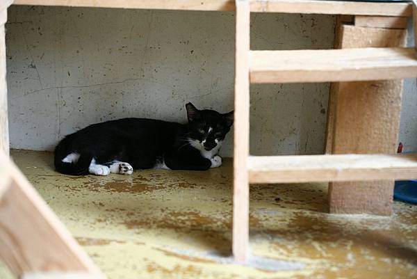 IMG_7335.jpg IMG_7335.jpg