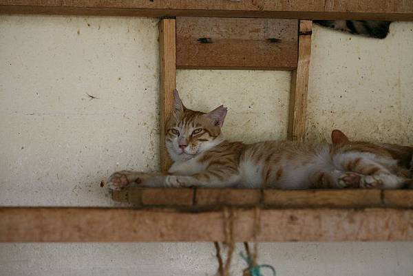 IMG_7339.jpg IMG_7339.jpg