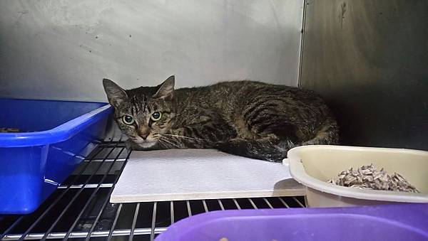 IMG_7342.jpg IMG_7342.jpg