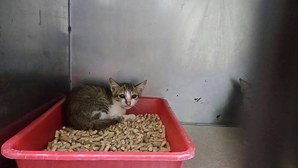 IMG_7345.jpg IMG_7345.jpg