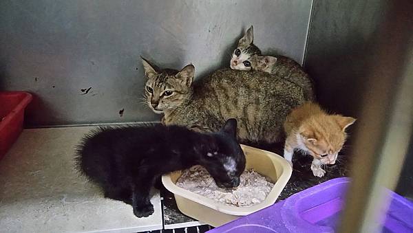 IMG_7347.jpg IMG_7347.jpg