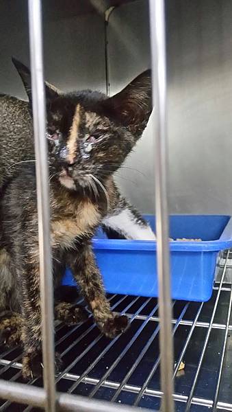 IMG_7351.jpg IMG_7351.jpg