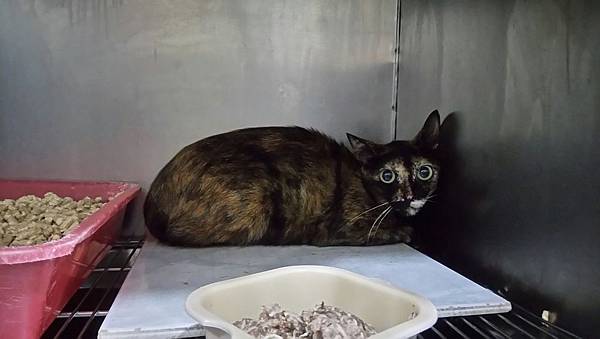 IMG_7350.jpg IMG_7350.jpg