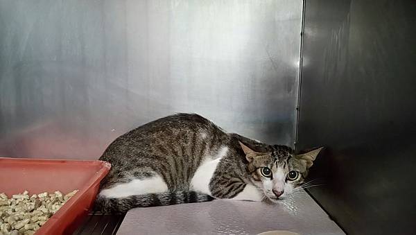 IMG_7352.jpg IMG_7352.jpg