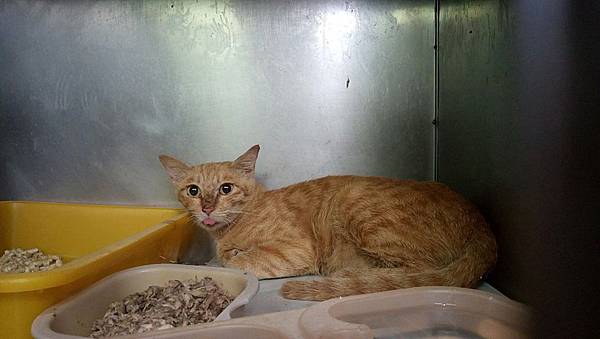 IMG_7353.jpg IMG_7353.jpg