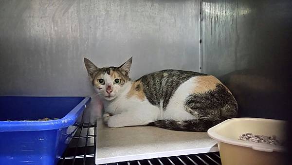 IMG_7355.jpg IMG_7355.jpg