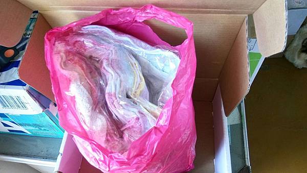 IMG_7369.jpg IMG_7369.jpg