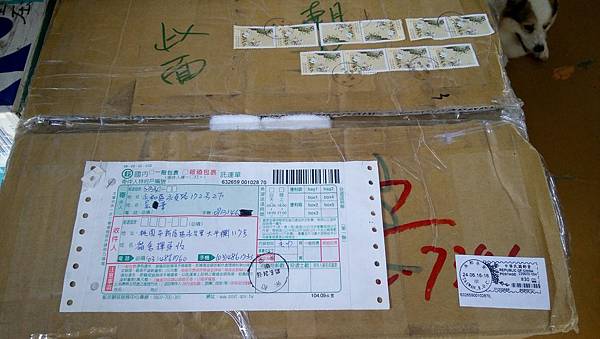 IMG_7372.jpg IMG_7372.jpg