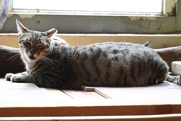 13503098_1101276679934177_964271531745885065_o.jpg 13503098_1101276679934177_964271531745885065_o.jpg