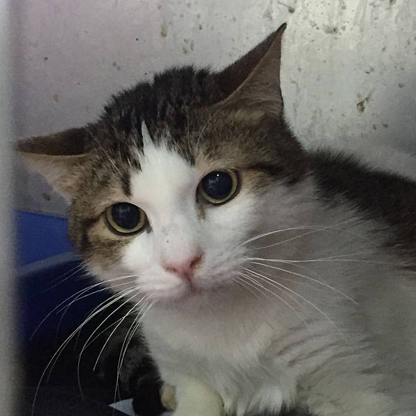 20180224 新屋_180225_0020.jpg