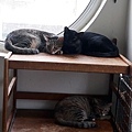 20180909_133701.jpg