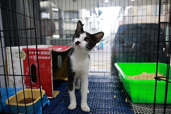 20180915 波妞_180917_0008.jpg