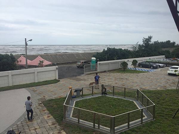 20180929 新屋貓舍_181001_0043.jpg