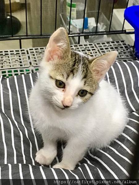 44894412_2354602084554729_2870706370565373952_n.jpg 44894412_2354602084554729_2870706370565373952_n.jpg