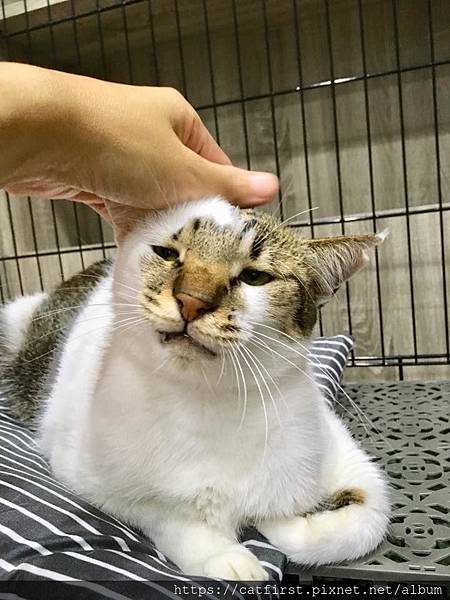 43104967_2322578591090412_7778994214750126080_n.jpg 43104967_2322578591090412_7778994214750126080_n.jpg