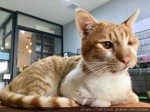 45361667_2378753402139597_8881920049468669952_n.jpg 45361667_2378753402139597_8881920049468669952_n.jpg