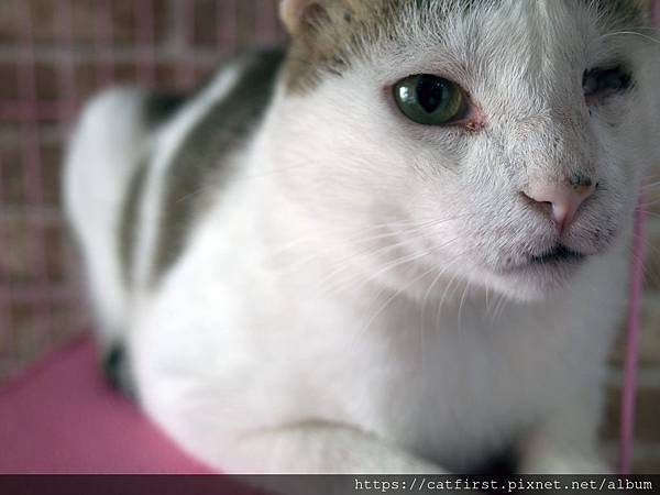 42269566_10156025280361298_2906553078150856704_o.jpg 42269566_10156025280361298_2906553078150856704_o.jpg