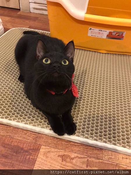 47015406_944152772375536_6984466470906363904_n.jpg 47015406_944152772375536_6984466470906363904_n.jpg