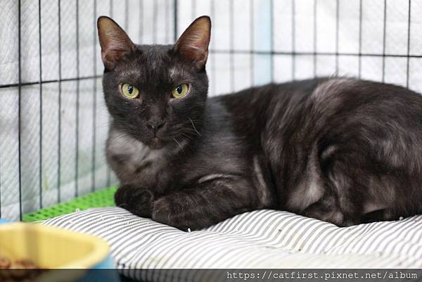 幼咪.jpg 幼咪.jpg