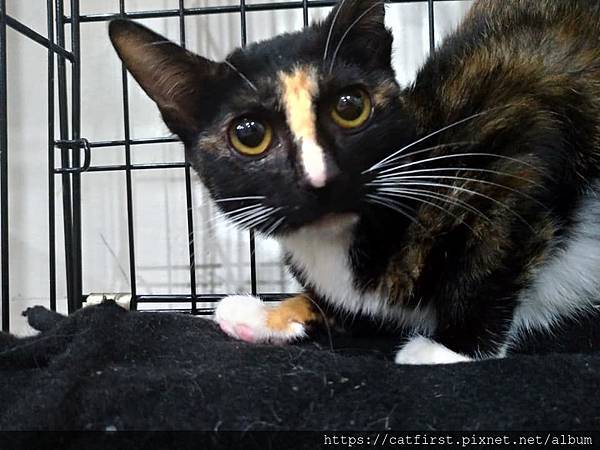 49914610_1995360420512007_4498863249105616896_n.jpg 49914610_1995360420512007_4498863249105616896_n.jpg