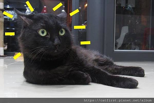 50583690_1992222294159153_8300948000956481536_n.jpg 50583690_1992222294159153_8300948000956481536_n.jpg