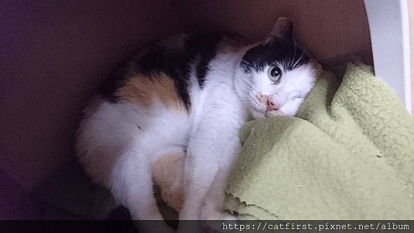 52269929_10216442622130346_5676280214921936896_o.jpg 52269929_10216442622130346_5676280214921936896_o.jpg