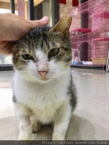 52014079_2530740473607555_5752531281883693056_n.jpg 52014079_2530740473607555_5752531281883693056_n.jpg