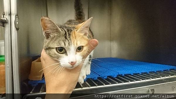 54372031_10216634849615913_2041896571427094528_o.jpg 54372031_10216634849615913_2041896571427094528_o.jpg