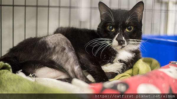 59585098_2418572661488522_1363164448713342976_o.jpg 59585098_2418572661488522_1363164448713342976_o.jpg