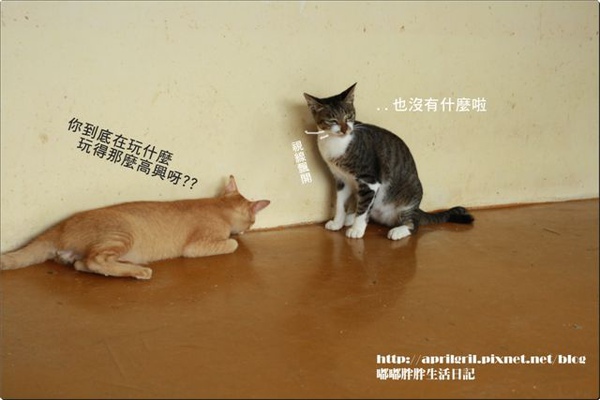 12.jpg 12.jpg