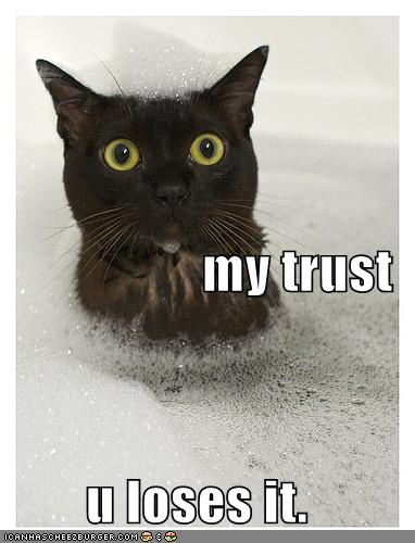 funny-pictures-cat-bubble-bath-trust.jpg