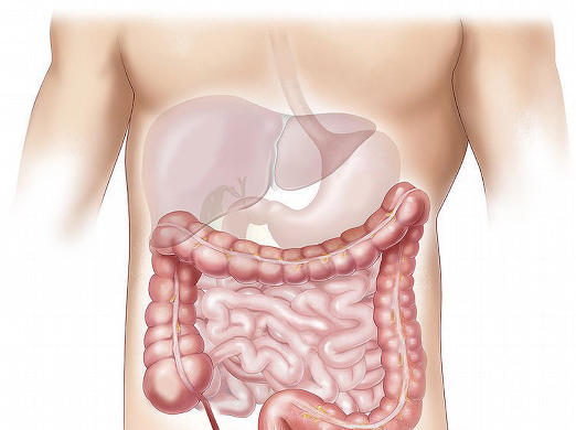 offal-1463369_1280.png offal-1463369_1280.png