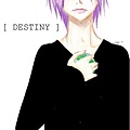 Destiny_by_HaganeNoBlackRose.jpg