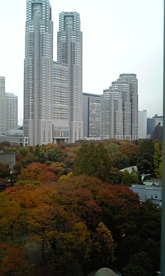 東京都廳