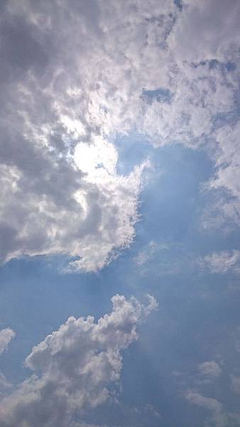 DSC_1236_ DSC_1236_