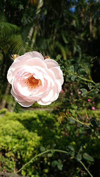 DSC_1713 DSC_1713
