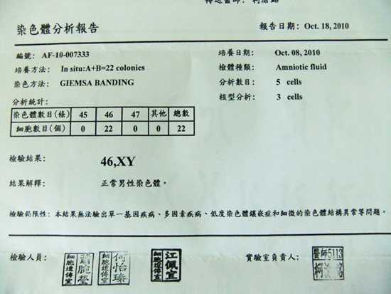 羊穿報告 羊穿報告