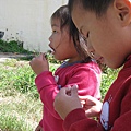 IMG_8612.JPG