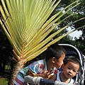 IMG_7019.JPG