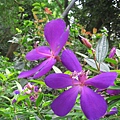 IMG_1948.JPG