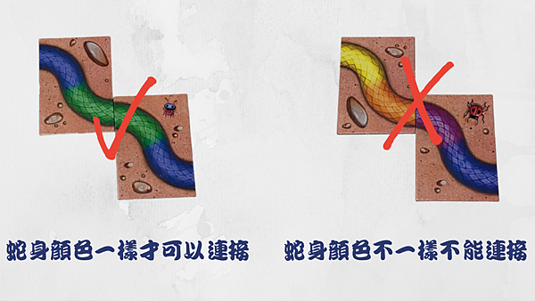 蛇身顏色一樣才可以連接.png 蛇身顏色一樣才可以連接.png