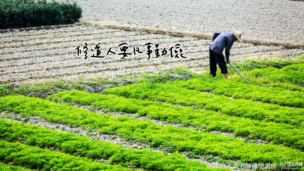 正能量語錄｜天界之舟金句｜修道人要凡是勤儉｜天界之舟地藏道場｜天界之舟佛法正宗.png