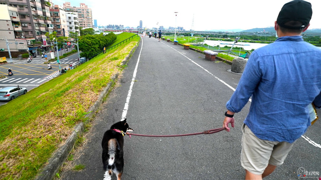 台北寵物公園推薦｜新北市寵物公園｜蘆堤寵物公園｜狗狗公園台北溜狗的好去處｜新北寵物公園｜三重寵物公園｜寵物友善公園 (10).PNG