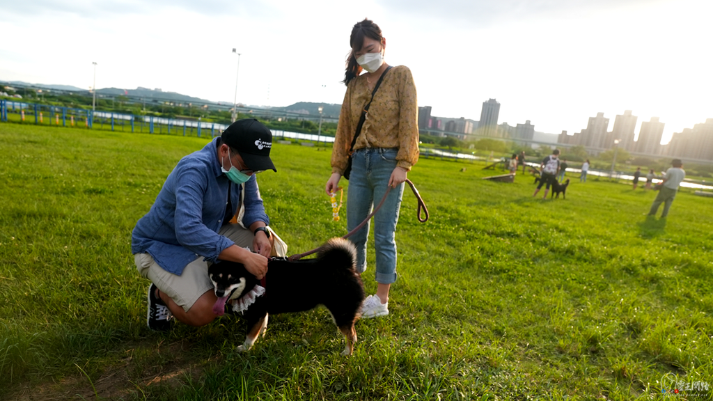 台北寵物公園推薦｜新北市寵物公園｜蘆堤寵物公園｜狗狗公園台北溜狗的好去處｜新北寵物公園｜三重寵物公園｜寵物友善公園 (6).PNG