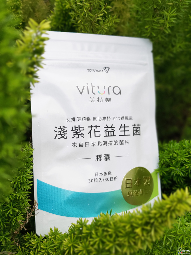 Vitura美持樂評價美持樂保健食品推薦嗎日本進口益生菌哪裡買淺紫花益生菌膠囊心得機能益生菌推薦消化機能保健品推薦排便益生菌推薦排便不順建議吃什麼益生菌怎麼吃更有感日本保健食品專利益生菌 (2).jpg