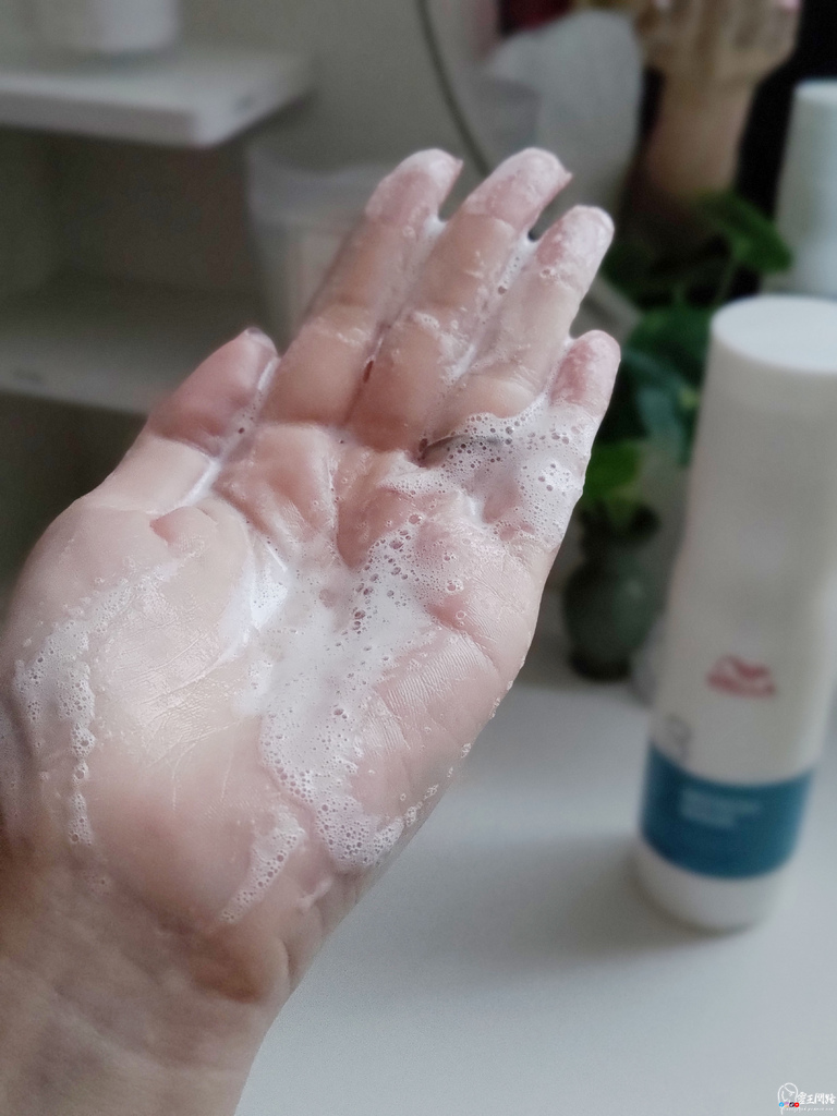 與75個專業沙龍品牌合作的，髮質設計師立坽的小窩 (7).jpg