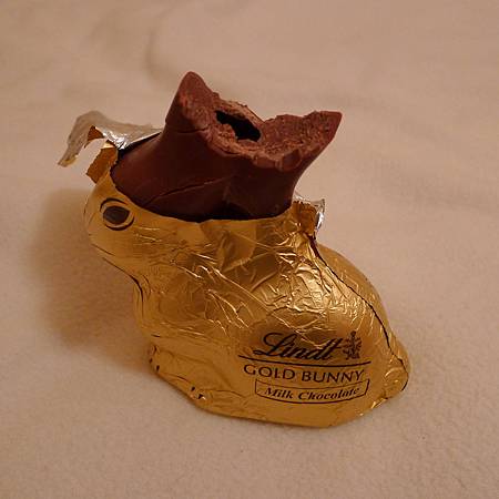 吃巧克力兔--1