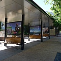 UQ BUS STOP