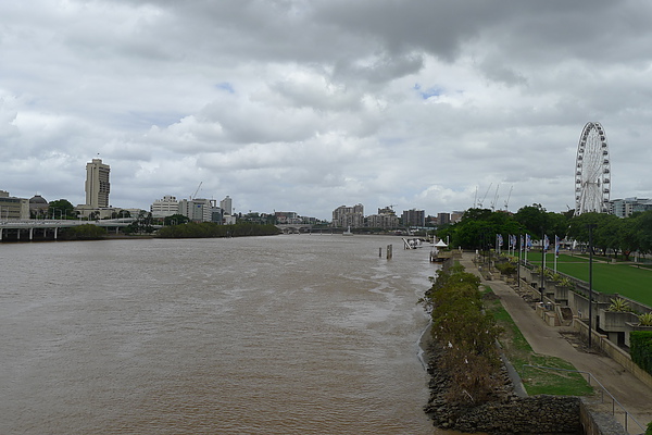 還很混濁的Brisbane River