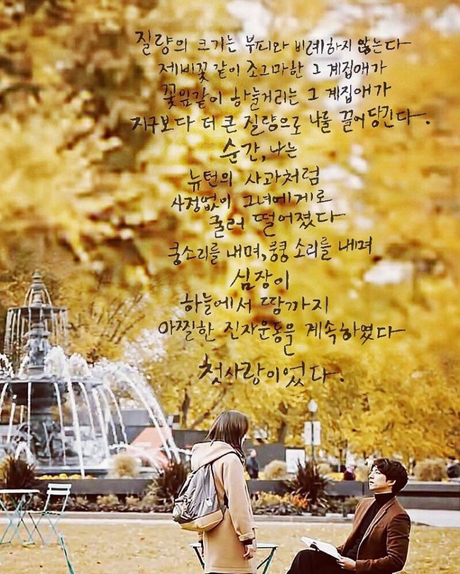 firstlove.jpg firstlove.jpg